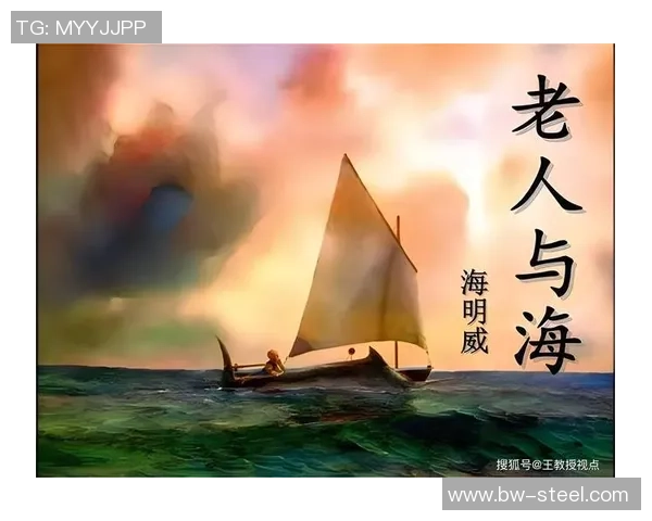 深度对话杨芳排球人生的追求与坚持探索